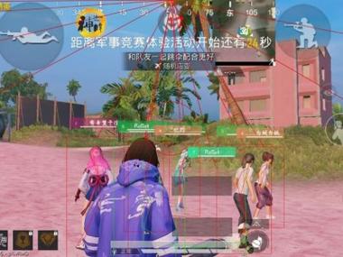和平精英透视挂永久免费 - 多平台支持防封版本
